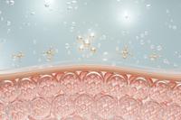 Tout savoir sur le collagène